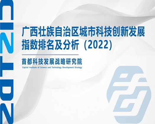 看日韩操逼【成果发布】广西壮族自治区城市科技创新发展指数排名及分析（2022）